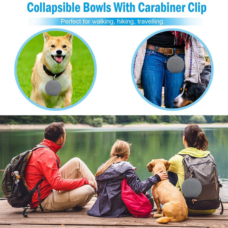 Portable 2 in 1 Silicone Pet Bowls with Carabiner, Collapsible Double Travel Dog Bowls for Food and Water Feeding, Foldable Camping Dog Cat Bowl